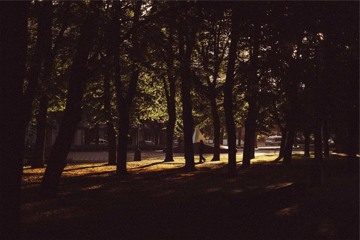 Coliving in Wilderness