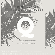Qualia Tulum logo
