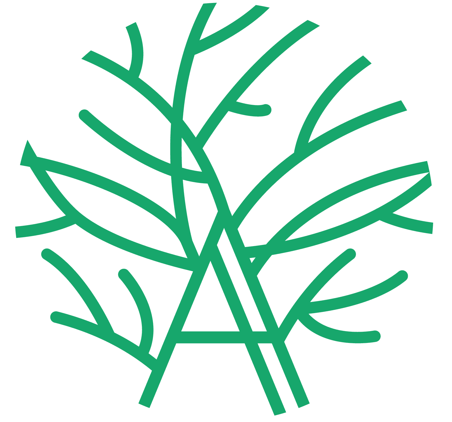 Anceu Coliving logo