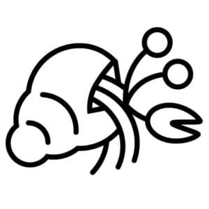My Name Is Bernard logo