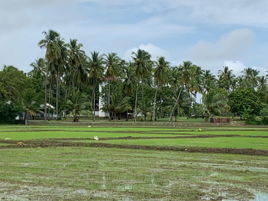 Villa Tissamaharamaya  photo 4