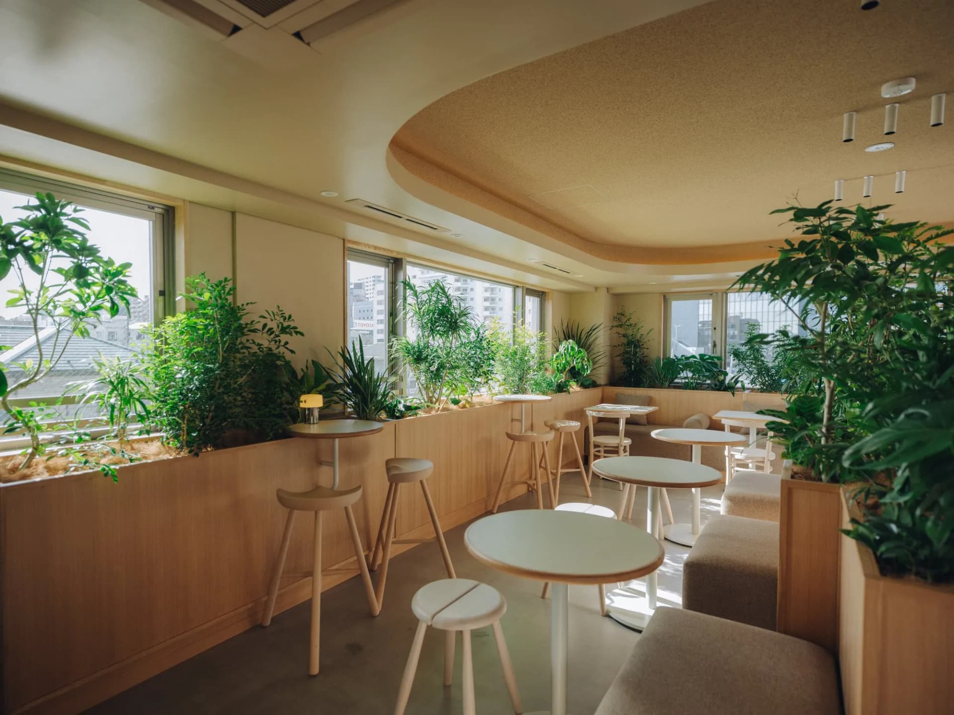 HAUN Osaki photo 2