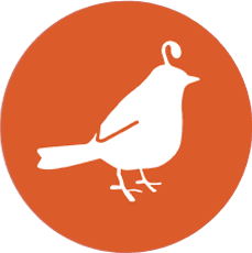 Nest DC Co-Living logo