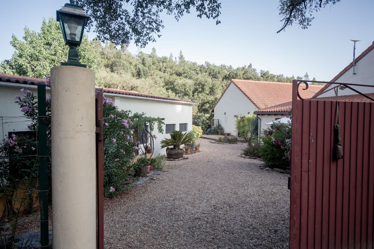 Satvana Conscious Co-living & Retreats photo 3
