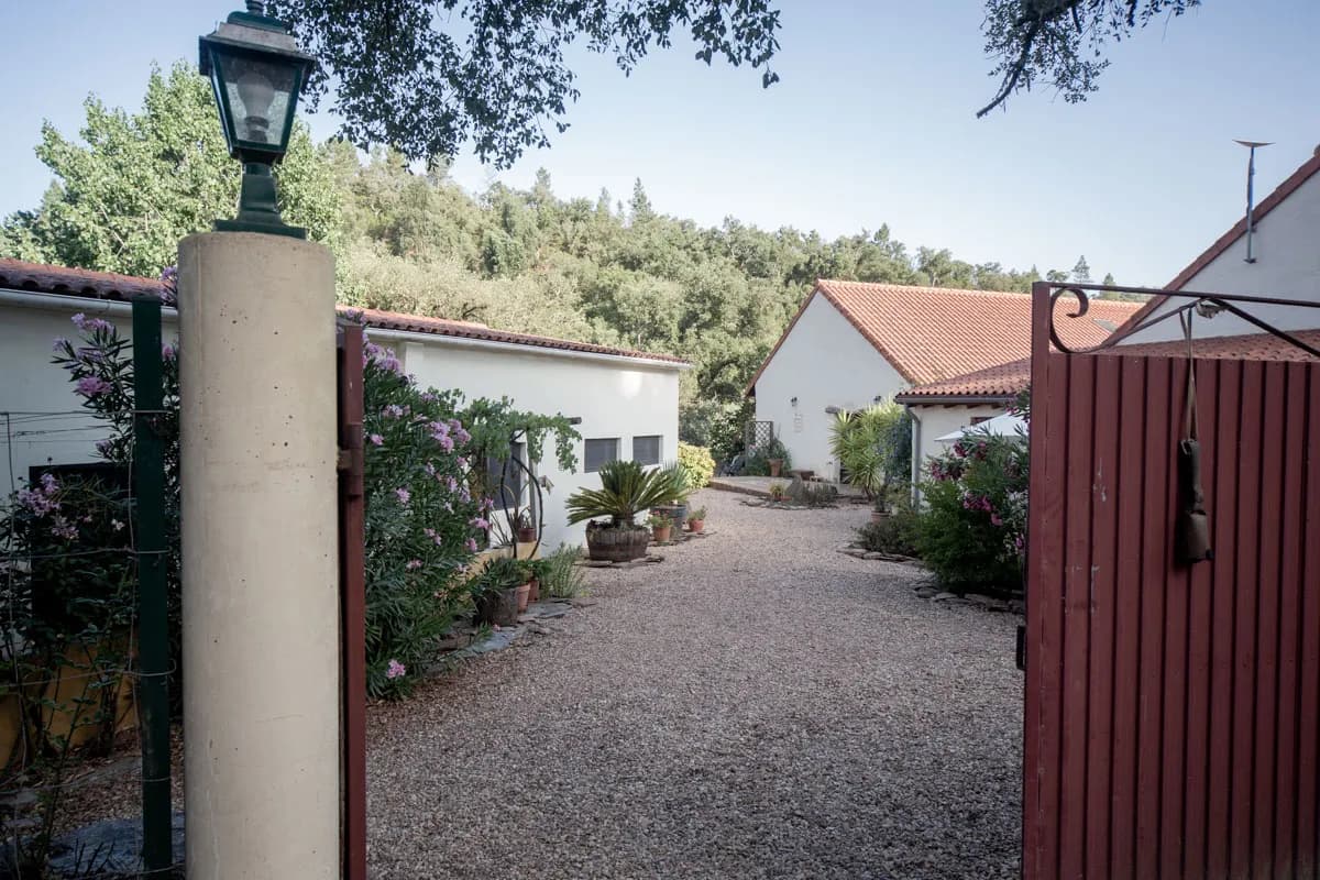 Satvana Conscious Co-living & Retreats photo 3