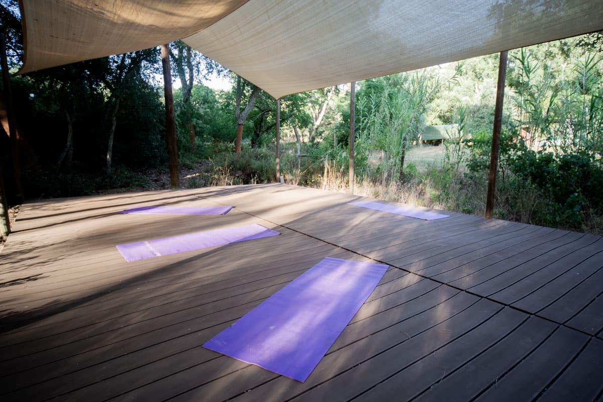 Satvana Conscious Co-living & Retreats photo 4