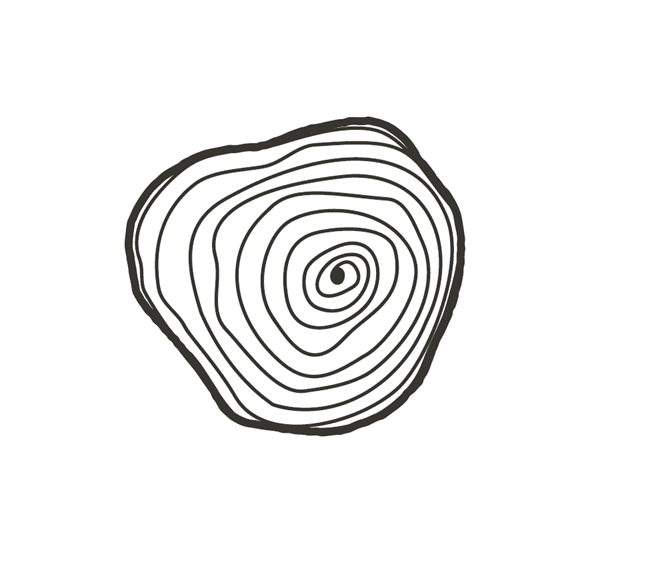 Satvana logo