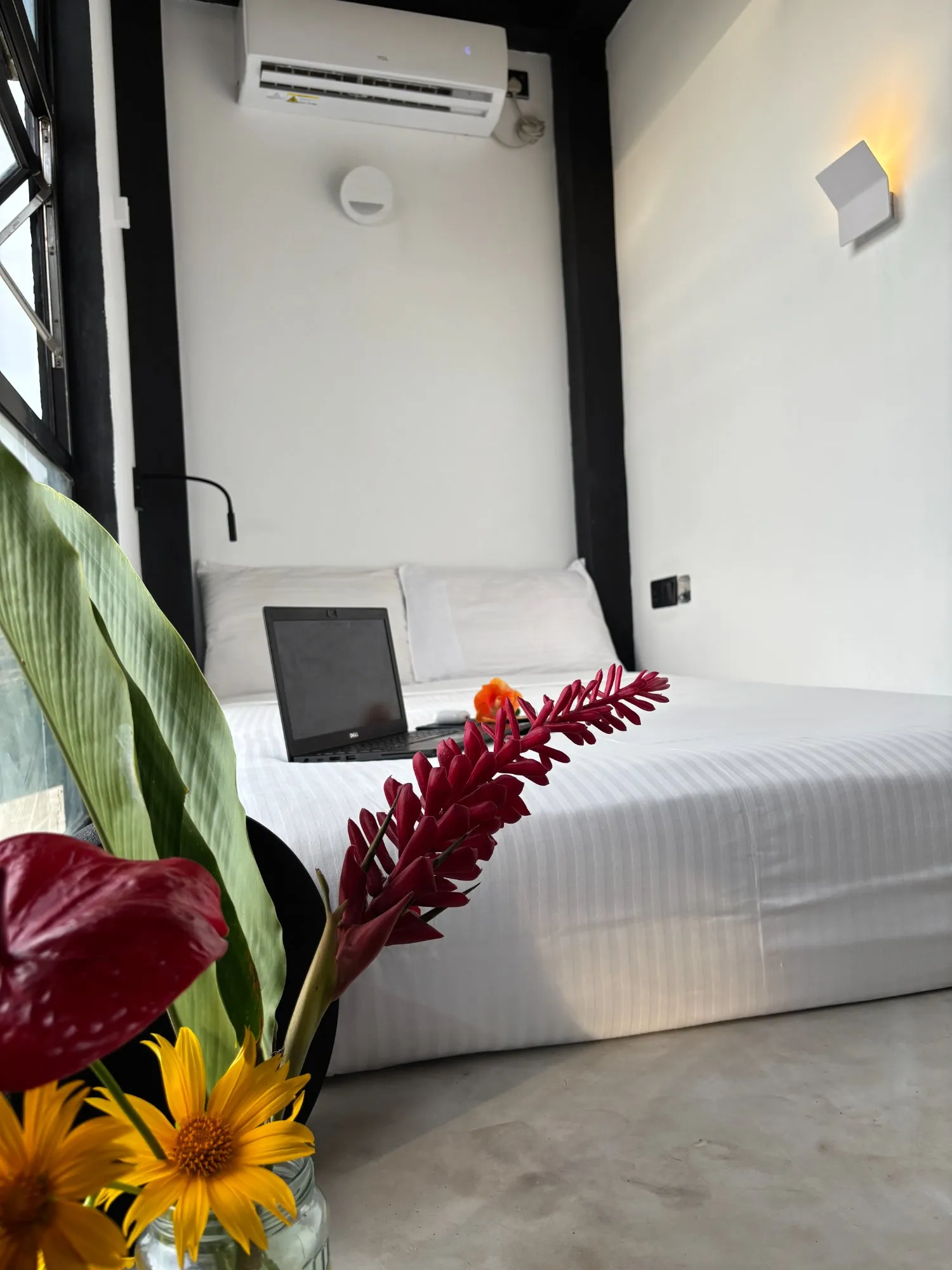 SHARED room photo 3