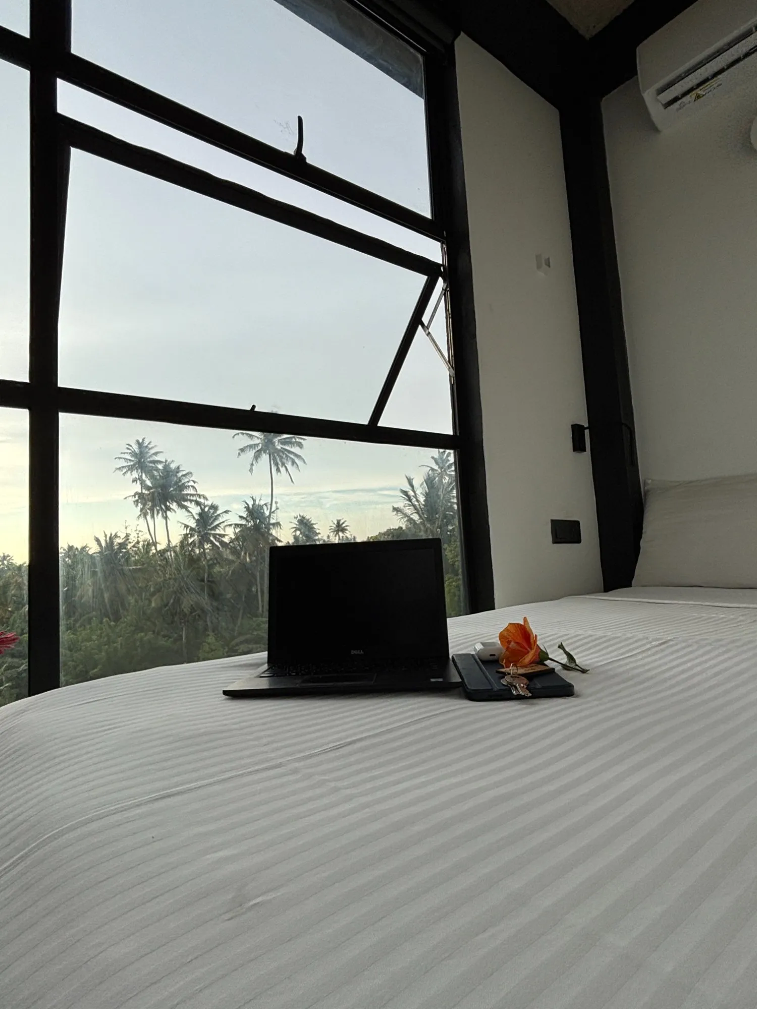 SHARED room photo 4